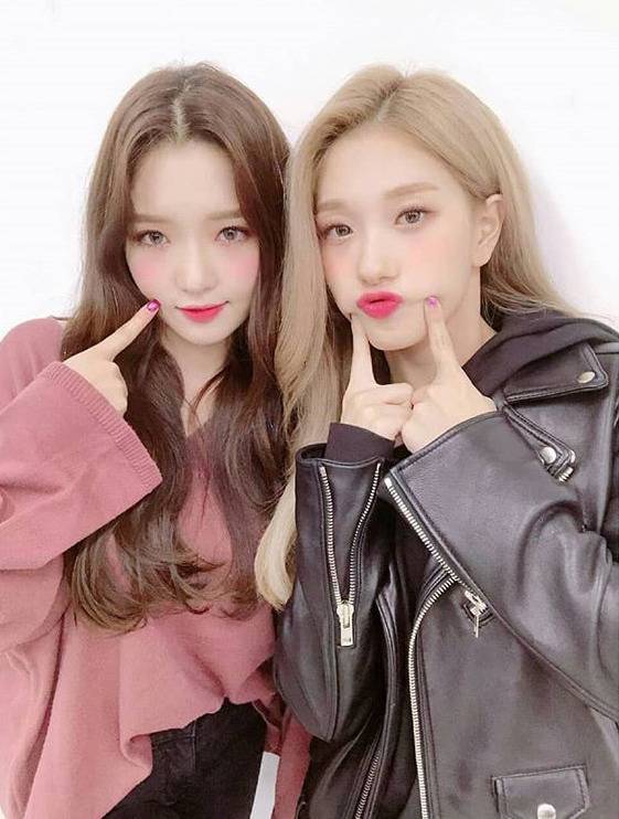 프로미스나인 인스타 -웹드라마 그래도 괜찮은 회복회 주연2명 | 인스티즈