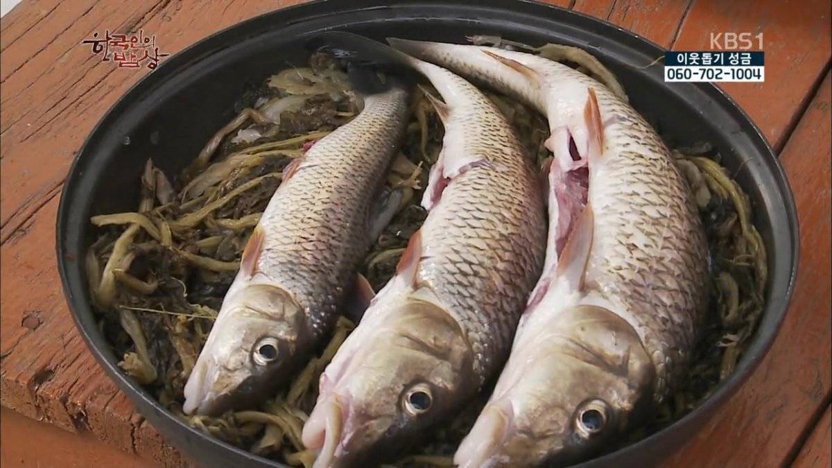 숯불로 해먹는 음식 좋아하시나요?.jpg | 인스티즈