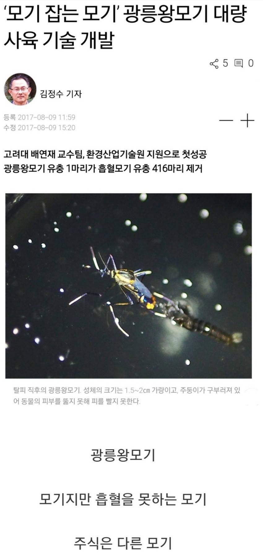 모기잡아먹는 모기.jpg | 인스티즈