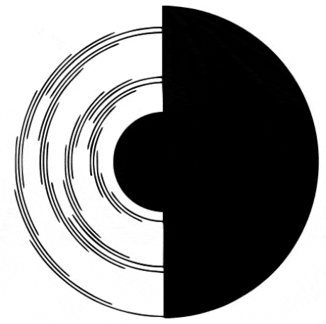 사람마다 다른색으로 보인다는 베넘의 팽이 - 무슨색으로 보이세요? | 인스티즈