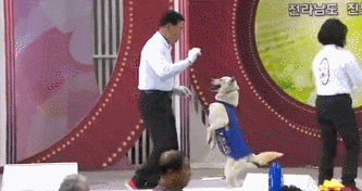 전국노래자랑 레전드 모음.gif | 인스티즈