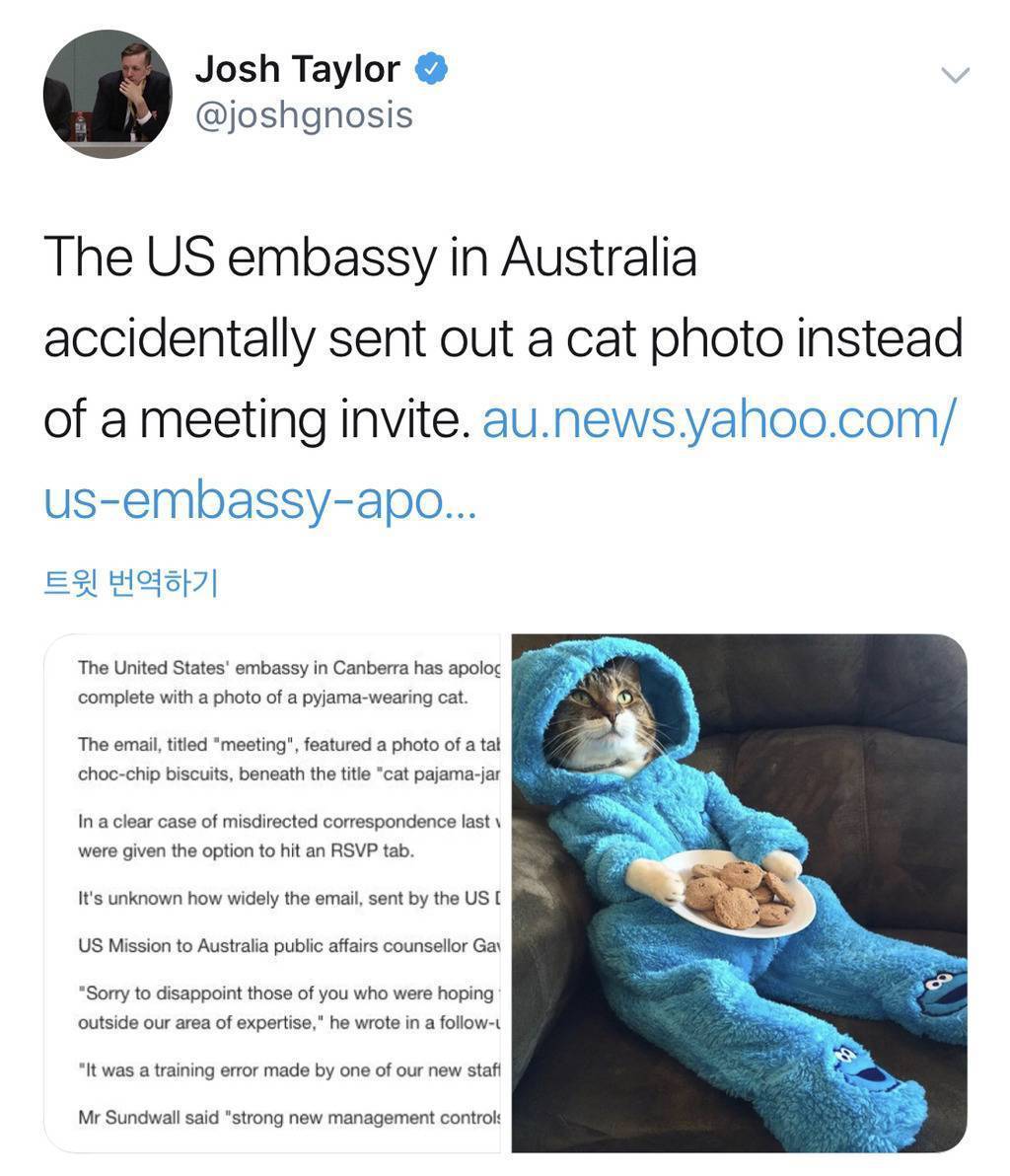 미 국무부, 호주정부 초청메일에 실수로 고양이 사진만 보내.jpg | 인스티즈