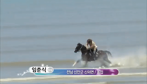 전국노래자랑 레전드 모음.gif | 인스티즈