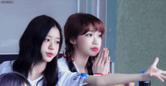 [아이즈원] 김 채 원 | 인스티즈