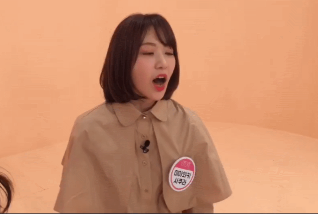 미야와키 사쿠라 라이온킹.gif | 인스티즈