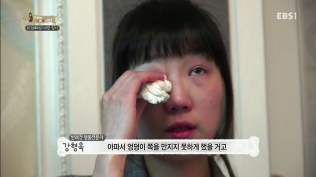 교배 업체에 보낸 후 사나워진 강아지 릴리 | 인스티즈