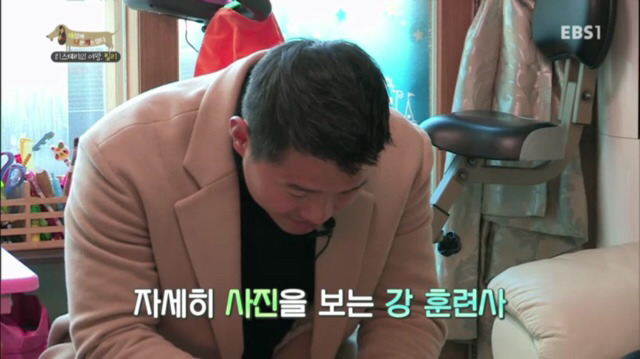 교배 업체에 보낸 후 사나워진 강아지 릴리 | 인스티즈