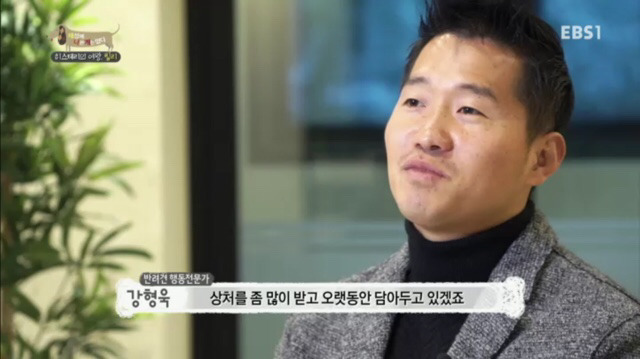 교배 업체에 보낸 후 사나워진 강아지 릴리 | 인스티즈