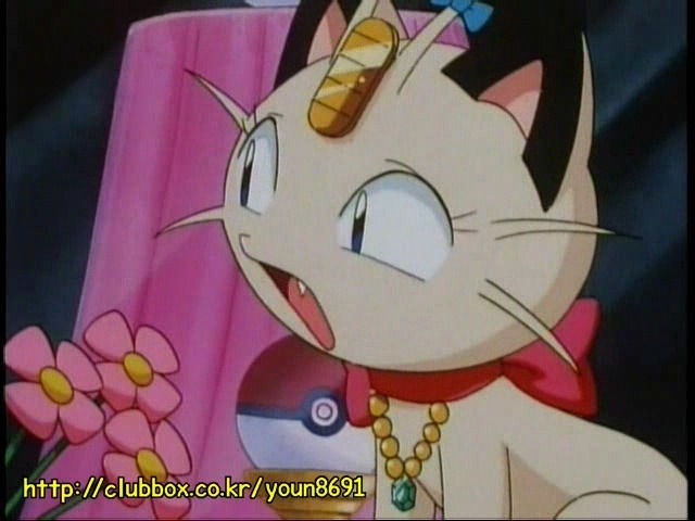 [포켓몬] 나옹이의 가나다라마바사 | 인스티즈