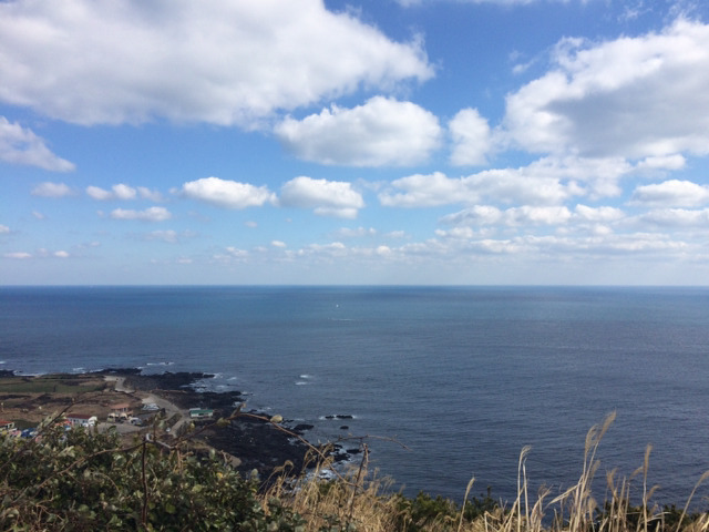 아직 머무르고 있는 제주도 사진 몇장 올립니다 | 인스티즈