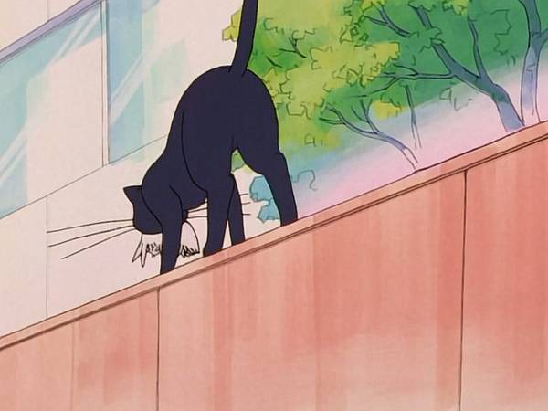 미소녀 전사 세일러문 (美少女戦士セーラームーン) 05 | 인스티즈