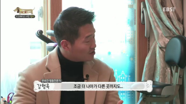 교배 업체에 보낸 후 사나워진 강아지 릴리 | 인스티즈