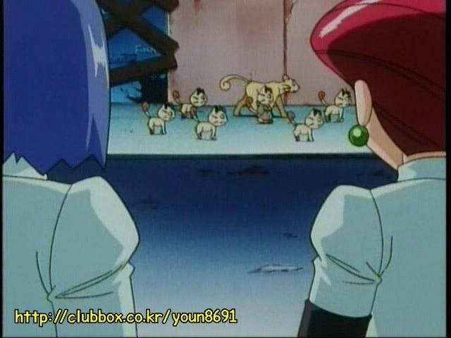 [포켓몬] 나옹이의 가나다라마바사 | 인스티즈