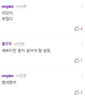 배우 홍수현 기사에 달린 저질수준의 댓글들.jpg | 인스티즈