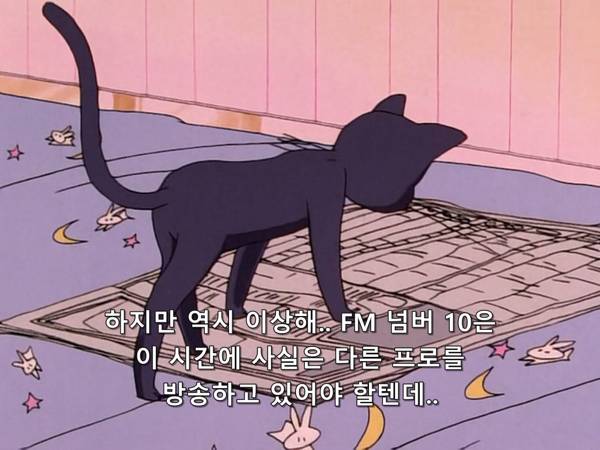 미소녀 전사 세일러문 (美少女戦士セーラームーン) 03 | 인스티즈