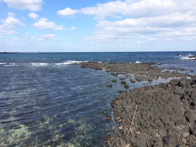 아직 머무르고 있는 제주도 사진 몇장 올립니다 | 인스티즈