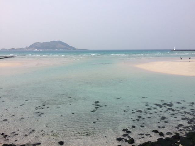 아직 머무르고 있는 제주도 사진 몇장 올립니다 | 인스티즈