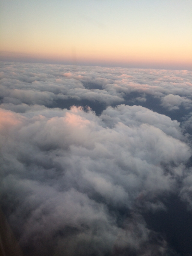 아직 머무르고 있는 제주도 사진 몇장 올립니다 | 인스티즈