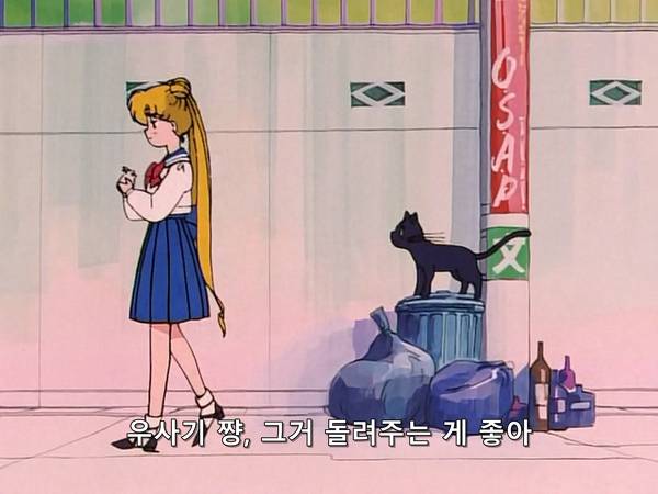 미소녀 전사 세일러문 (美少女戦士セーラームーン) 05 | 인스티즈