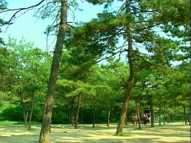 [황제의딸] 사라진 자미 10 | 인스티즈