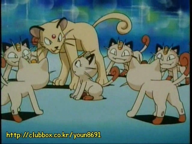 [포켓몬] 나옹이의 가나다라마바사 | 인스티즈