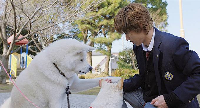 [늑대소녀와흑왕자] 남주가 쓰레기라 생각이 들다가도 와꾸보면 화가 풀리다가도 쓰레기라 생각이 드는 영화 03 | 인스티즈