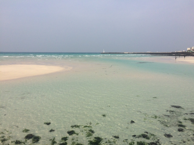 아직 머무르고 있는 제주도 사진 몇장 올립니다 | 인스티즈