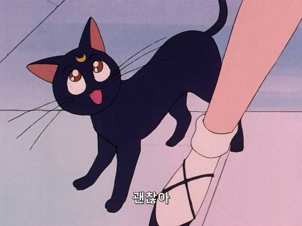 미소녀 전사 세일러문 (美少女戦士セーラームーン) 03 | 인스티즈