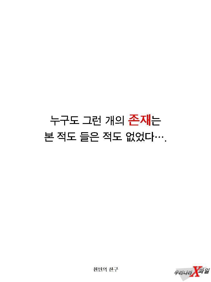 충격적인 개의 실체 ㄷㄷㄷㄷㄷ.JPG | 인스티즈