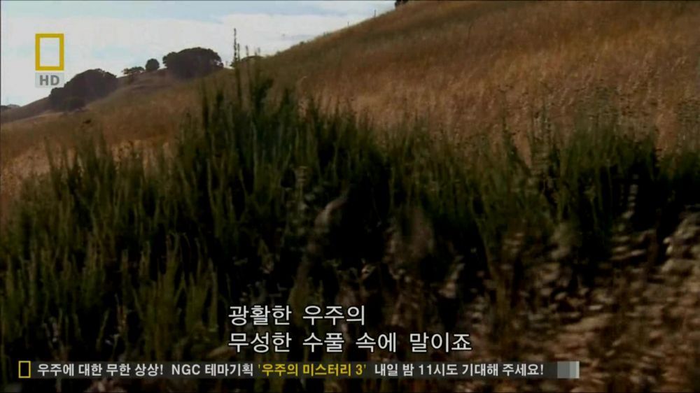 과학자들의 외계 생명체를 찾기위한 노력들.jpg | 인스티즈