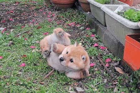 우아아 꽈당 | 인스티즈