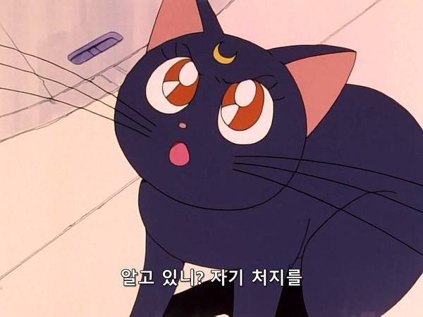 미소녀 전사 세일러문 (美少女戦士セーラームーン) 07 | 인스티즈