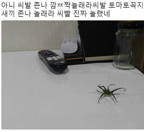 치과에서 나한테 깍깍깍깍 해 보라길래...jpg | 인스티즈