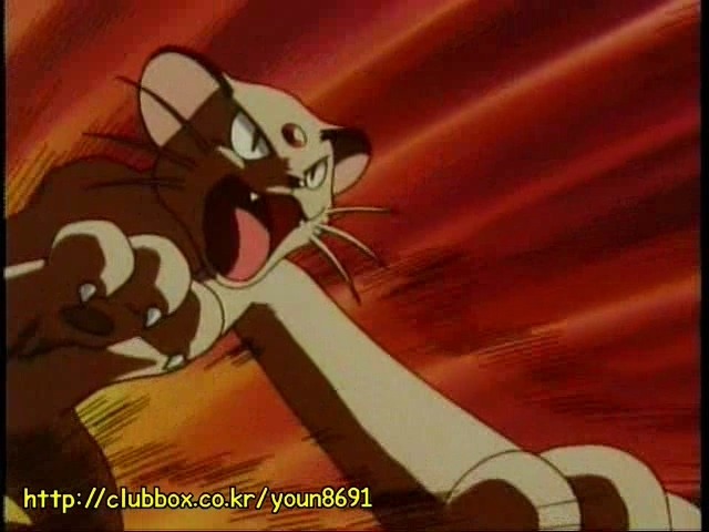 [포켓몬] 나옹이의 가나다라마바사 | 인스티즈