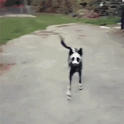 는 할로윈 분장 | 인스티즈