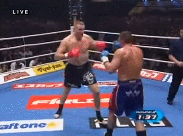 K-1 역대 최강 사기 선수.gif | 인스티즈