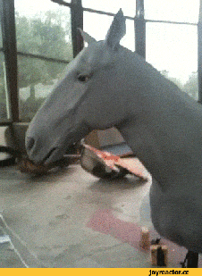 말 같지 않는 말 | 인스티즈