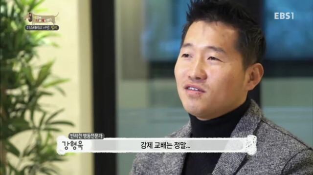 교배 업체에 보낸 후 사나워진 강아지 릴리 | 인스티즈