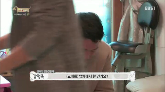 교배 업체에 보낸 후 사나워진 강아지 릴리 | 인스티즈