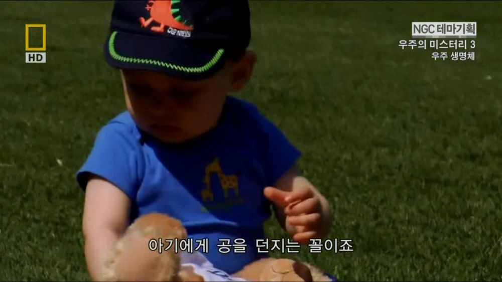 과학자들의 외계 생명체를 찾기위한 노력들.jpg | 인스티즈