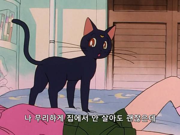 미소녀 전사 세일러문 (美少女戦士セーラームーン) 05 | 인스티즈