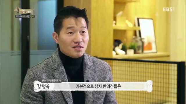 교배 업체에 보낸 후 사나워진 강아지 릴리 | 인스티즈