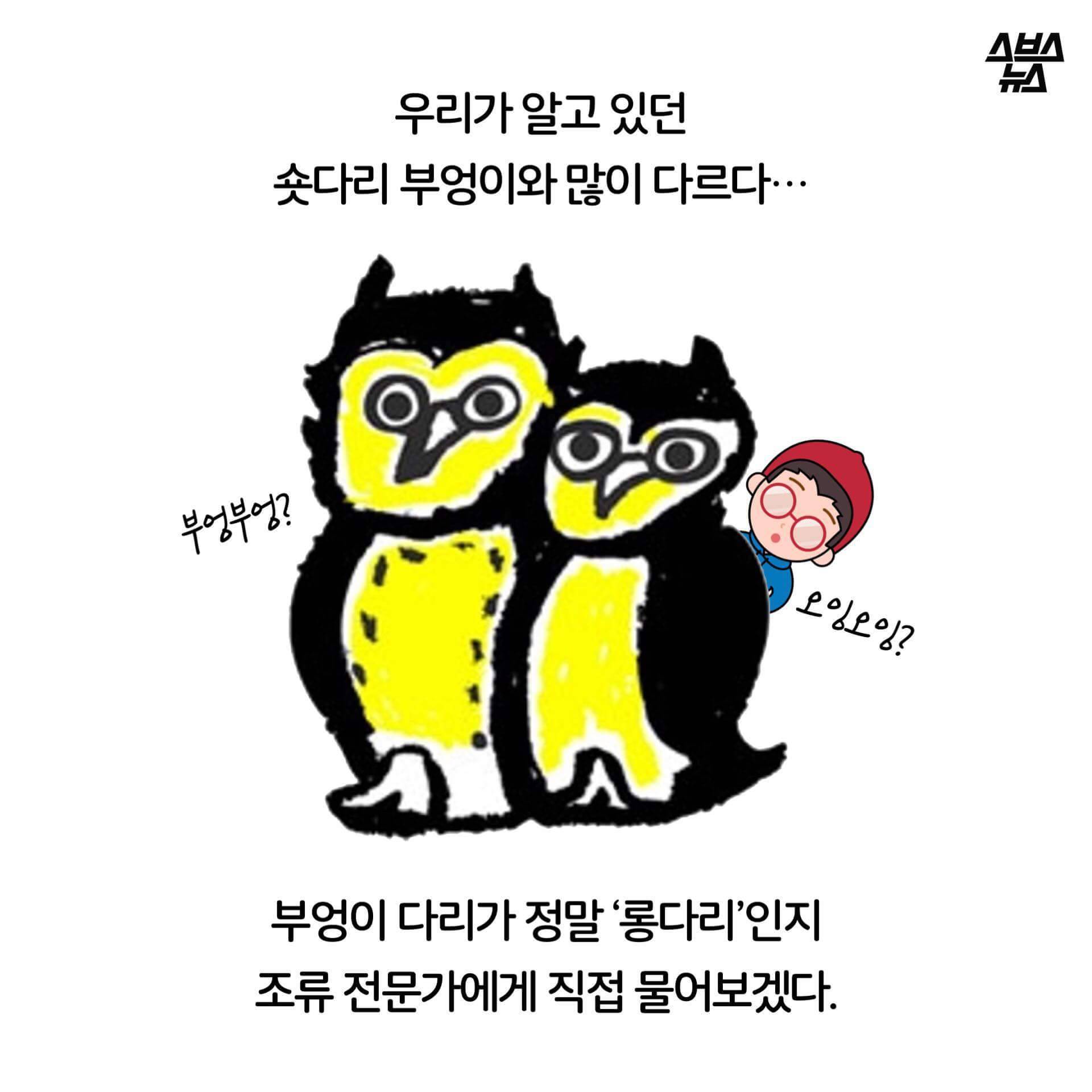 숏하지 않다고 말해부엉 | 인스티즈