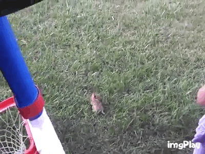 아름다운 방생의 순간들.gif | 인스티즈