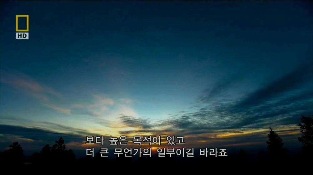 과학자들의 외계 생명체를 찾기위한 노력들.jpg | 인스티즈