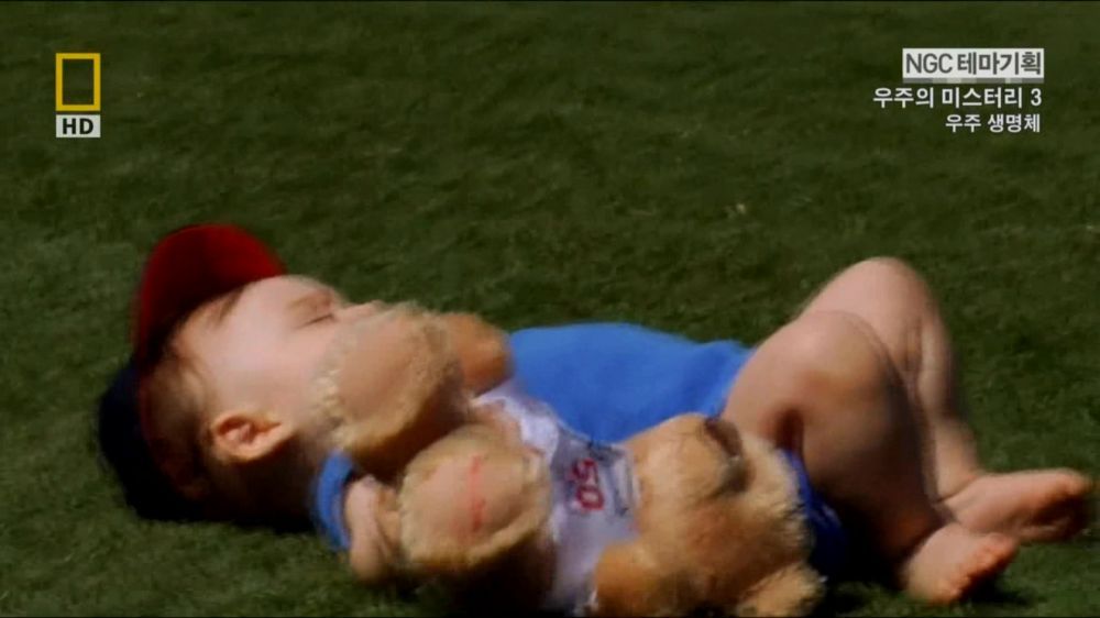 과학자들의 외계 생명체를 찾기위한 노력들.jpg | 인스티즈