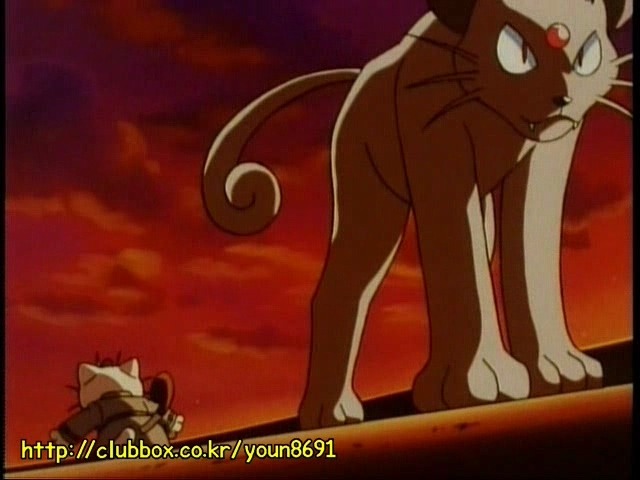 [포켓몬] 나옹이의 가나다라마바사 | 인스티즈