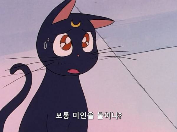 미소녀 전사 세일러문 (美少女戦士セーラームーン) 03 | 인스티즈