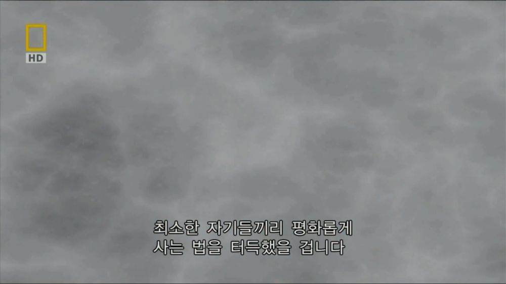 과학자들의 외계 생명체를 찾기위한 노력들.jpg | 인스티즈