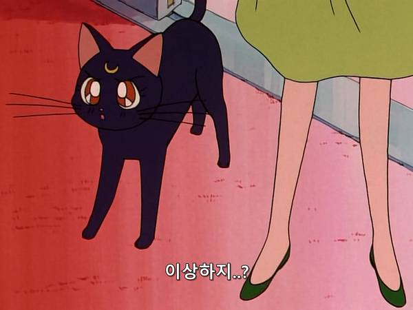 미소녀 전사 세일러문 (美少女戦士セーラームーン) 07 | 인스티즈